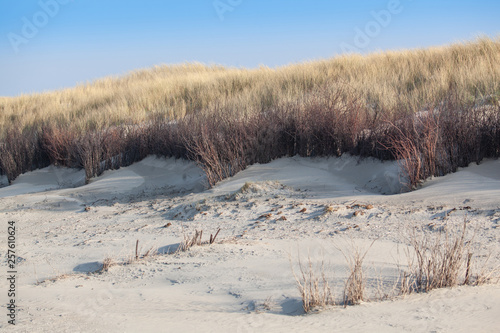 In the Dunes of Langeoog photo