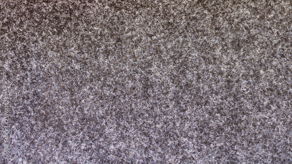 Fototapeta premium texture of woolen fabric close-up