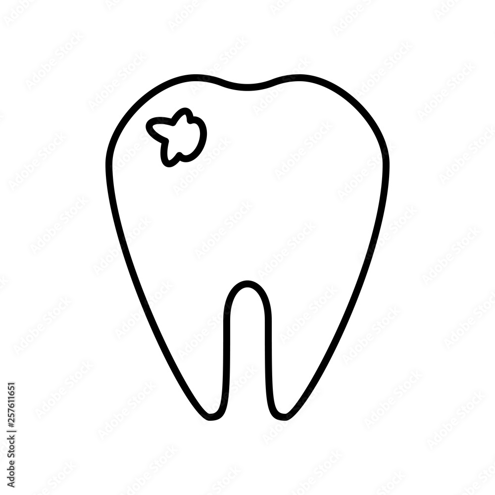 tooth on white background tooth on white background