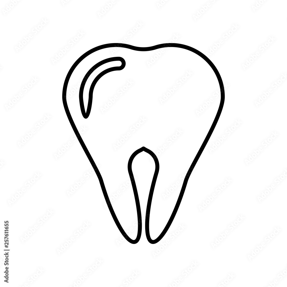 tooth on white background tooth on white background