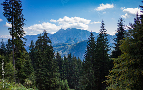 Blick vom Unternberg Ruhpolding Richtung Süden