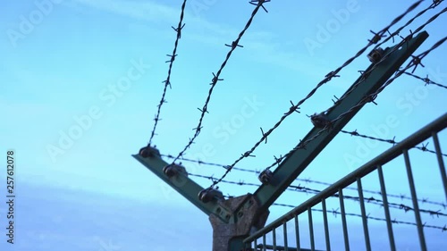 Wallpaper Mural Barbed wire fence Torontodigital.ca