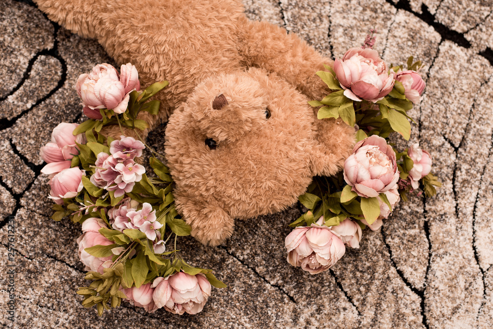 teddy mit blumen auf teppich liegend Stock Photo | Adobe Stock