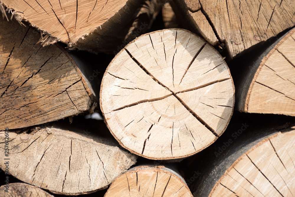 Pile of wood logs ready for winter Pile of wood logs ready for winter