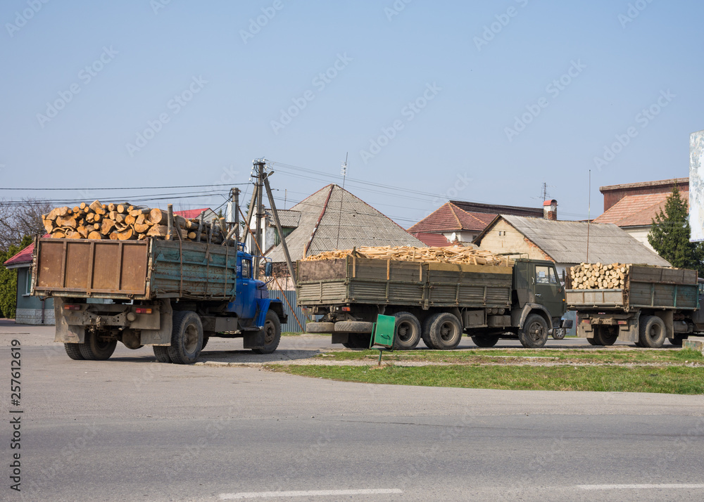 Trucks carrying wood on a road
