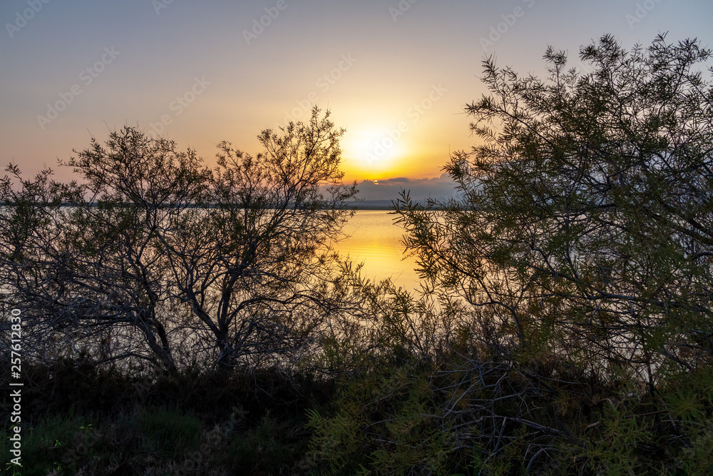 Fototapeta premium Sunset over Salt lake in February, Cyprus, Larnaca 