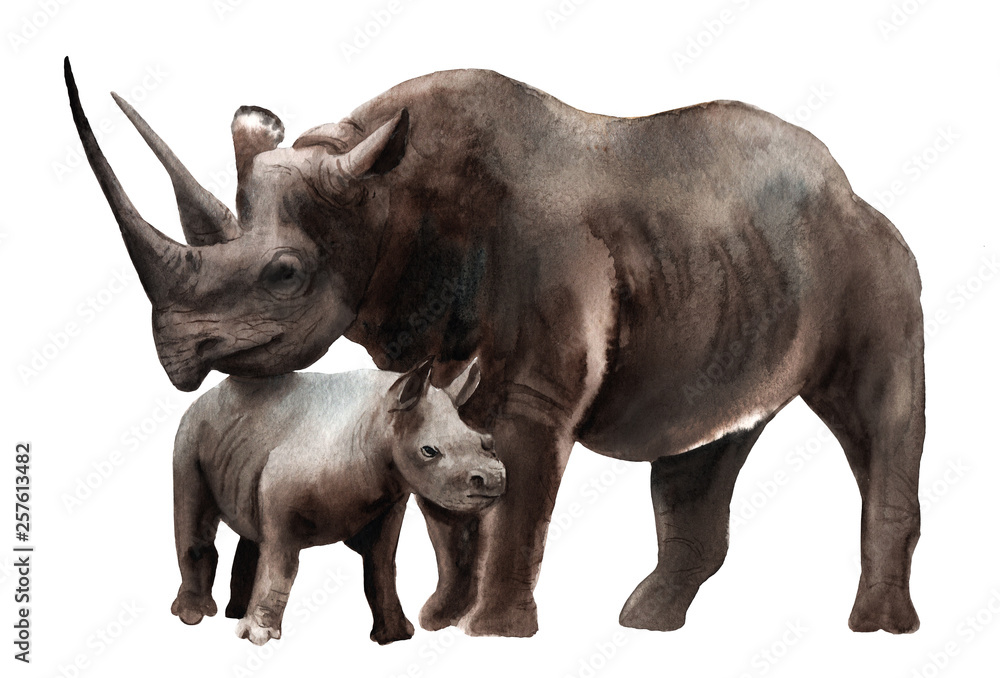 Fototapeta premium watercolor animals - black rhino with a kid