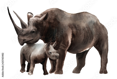 watercolor animals - black rhino with a kid