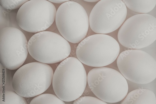many white fresh chicken eggs lie close to each other on a light background