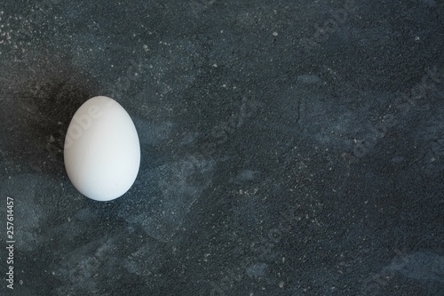 one white egg lies on a dark blue-gray cement textured background with free space on the right