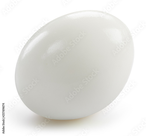 With egg isolated on white