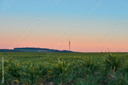 Windkraftwerk im Sonnenuntergang