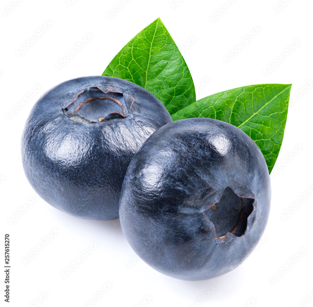 Blueberry isolated Clipping Path Blueberry isolated Clipping Path