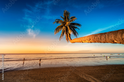 Summer tropical backgrounds set with palms, sky and sunset. Summertime for travel and vacation