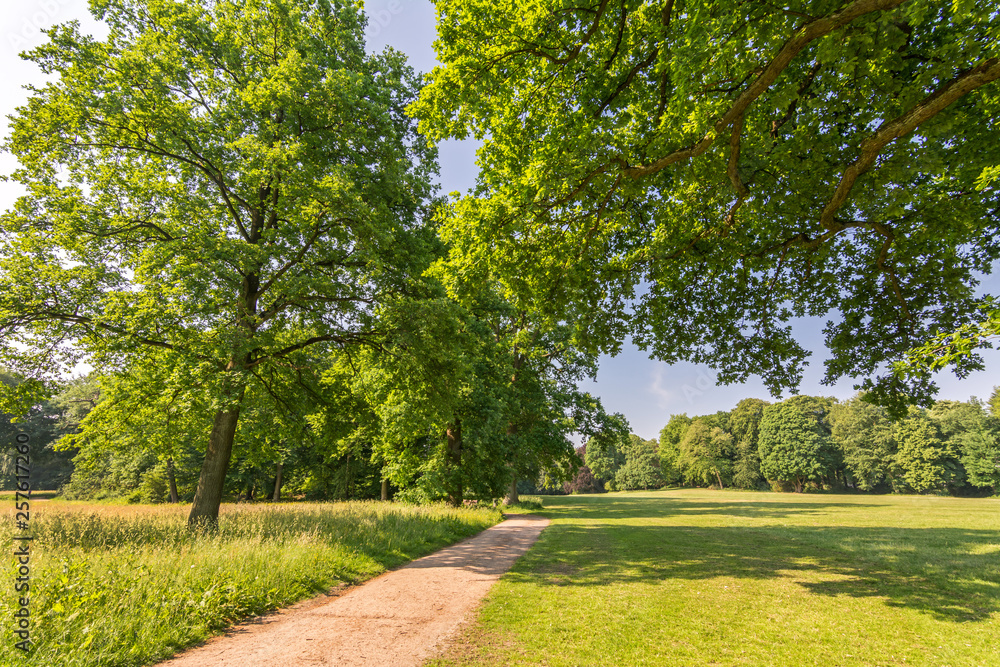 Idyllischer Weg durch einen Park mit Bäumen im Frühling Idyllischer Weg durch einen Park mit Bäumen im Frühling