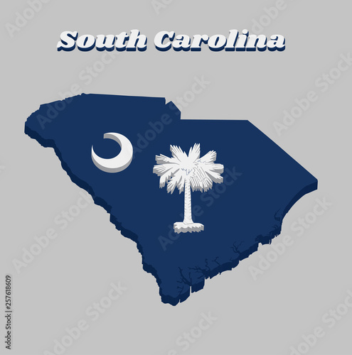 3D Map outline and flag of South Carolina, White palmetto tree on an indigo field. The canton contains a white crescent.