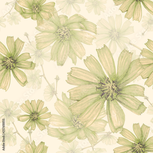 Chicory seamless pattern