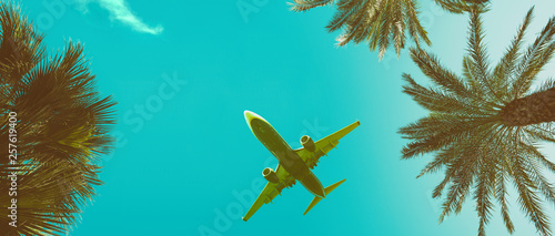 Palm trees perspective view long banner with airplane vintage toned with copy-space