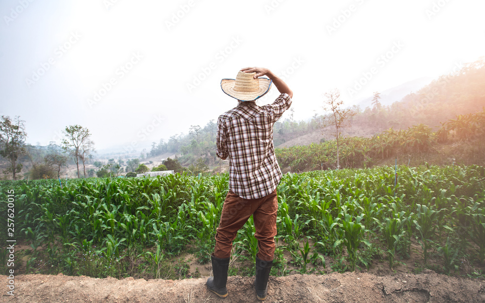 Young farmer standing with hat in corn field.