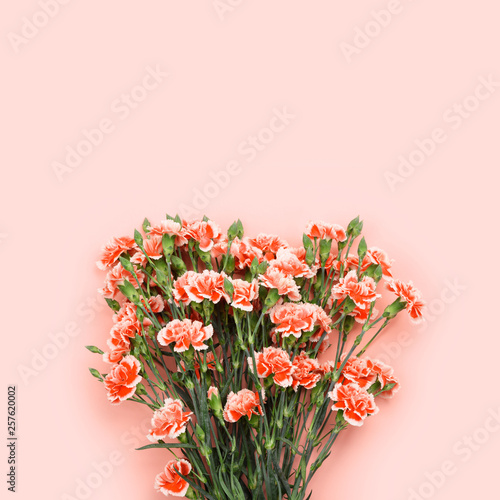 Obraz na plátně Bouquet of carnation flowers on pastel rose background