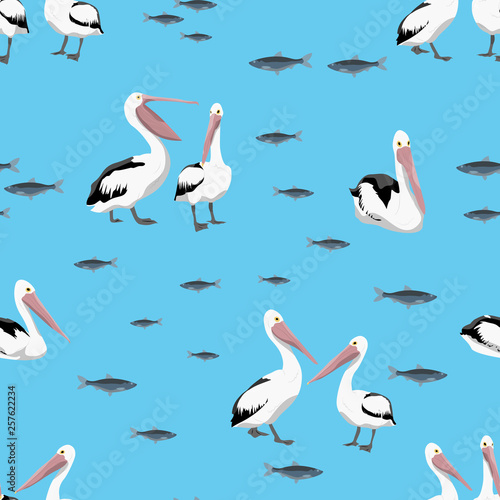 Seamless pattern. Groups of pelican birds and fish flocks on a blue background. Realistic vector illustration.