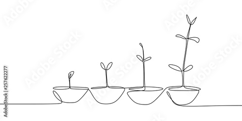 continuous line drawing of plant growth processes.