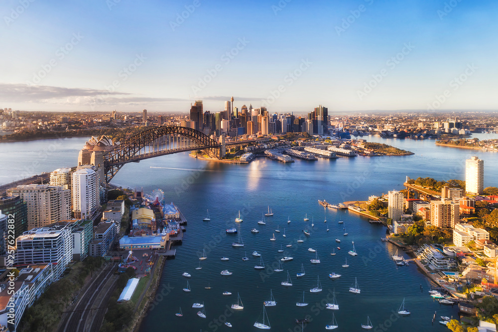 Obraz premium D Sy Lavend 2 CBD High Op