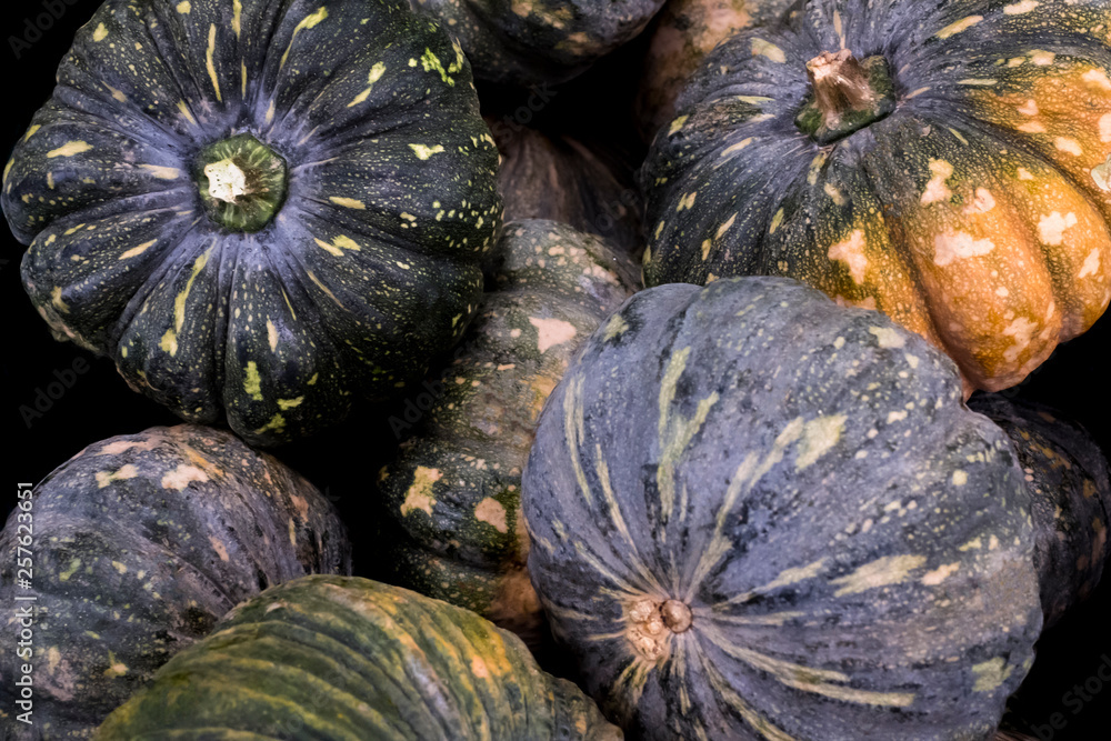 pumpkins are vegetables fruit organic is rich in vitamins and minerals Used in cooking Make it colorful and delicious.Thailand is used to make desserts. pumpkins are vegetables fruit organic is rich in vitamins and minerals Used in cooking Make it colorful and delicious.Thailand is used to make desserts.
