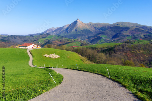 rural landscape of farm with sheep in Lazkaomendi in Gipuzkoa with Txindoki mountain photo