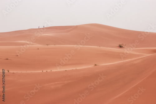 People walk on the dunes of the Sahara desert  Merzouga Morocco.