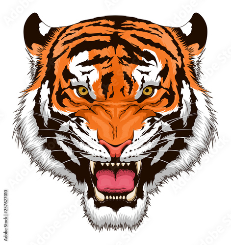 Stylized roaring tiger head