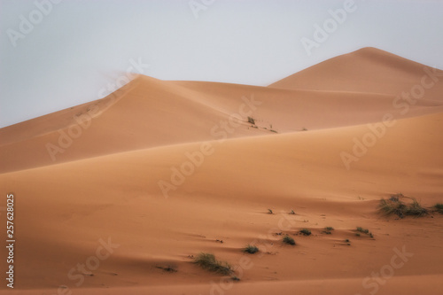 Amazing landscape in the Sahara Desert  Merzouga Morocco. Beautiful adventure trip among the sand dunes