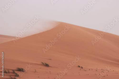 Amazing landscape in the Sahara Desert  Merzouga Morocco. Beautiful adventure trip among the sand dunes
