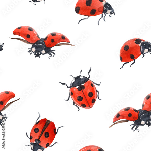 Watercolor ladybug seamless pattern © zenina