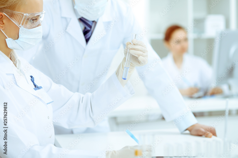 Scientific research team with clear solution in laboratory Scientific research team with clear solution in laboratory
