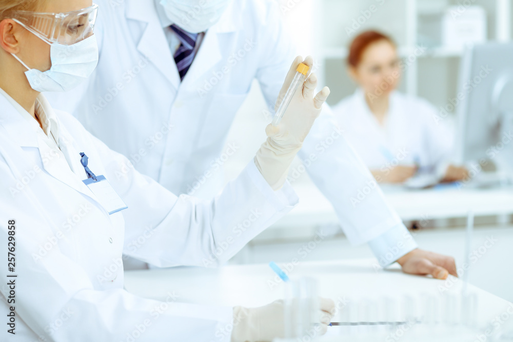 Scientific research team with clear solution in laboratory Scientific research team with clear solution in laboratory