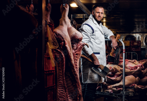 The butcher in workwear posing with two axes in a refrigerated warehouse in the midst of meat carcasses