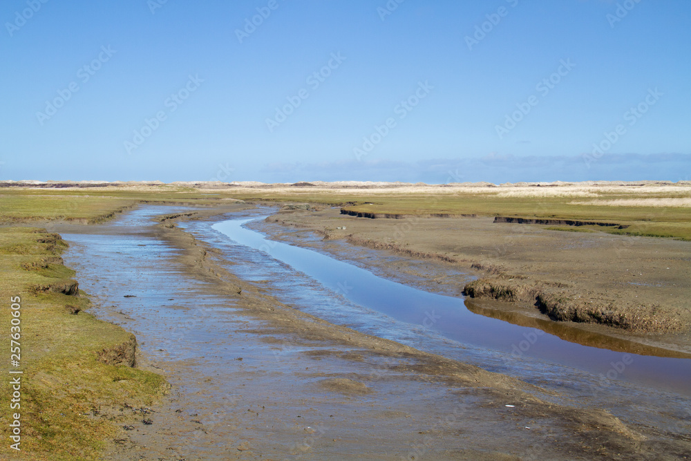 Tidal creak meandering in a salt marsh 