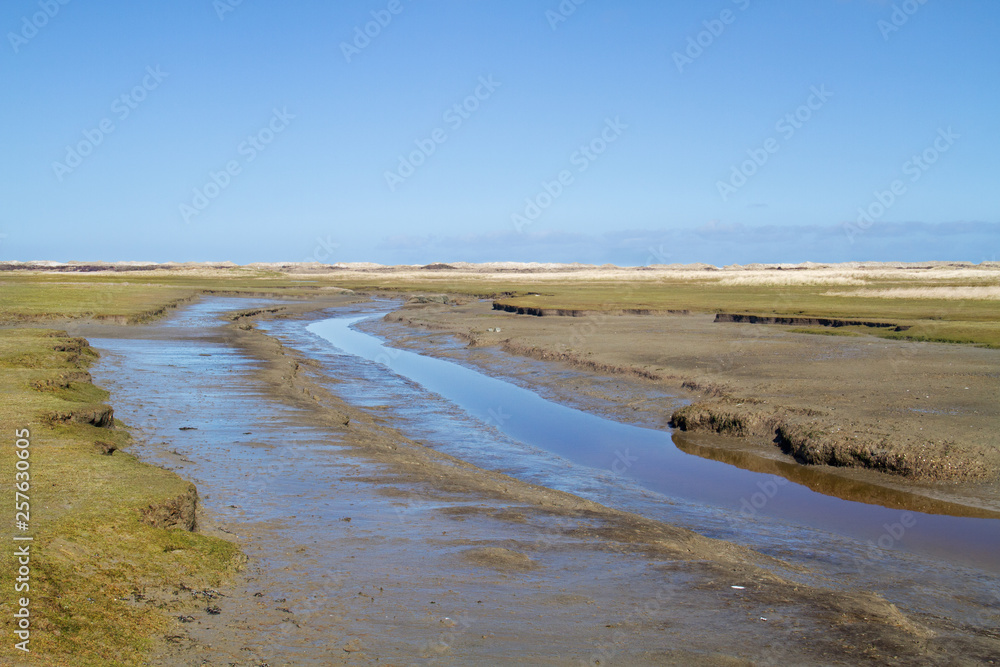 Tidal creak meandering in a salt marsh Tidal creak meandering in a salt marsh