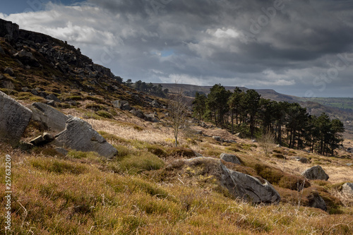 Ilkley Moor, Yorkshire Dales