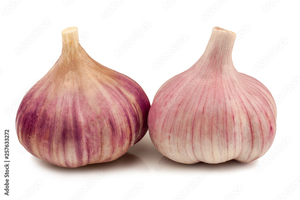 Fototapeta premium Garlic on white background isolated