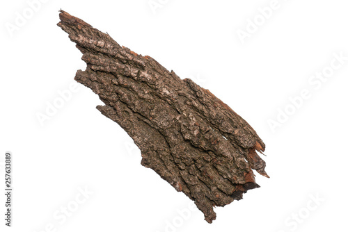 Piece of old tree bark, isolated on white background in studio © DenisNata