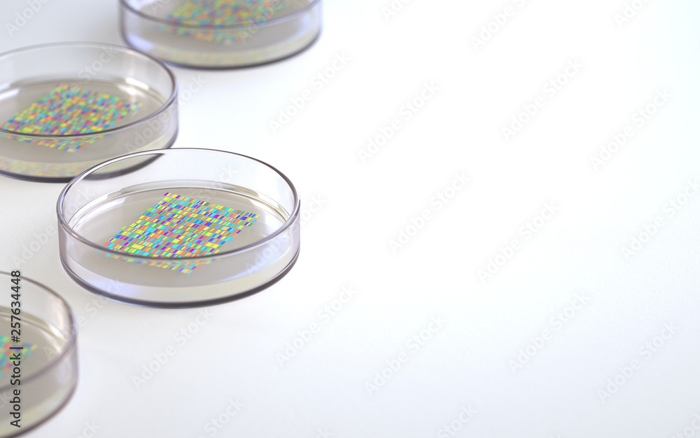Petri dishes with samples for DNA sequencing, 3d rendering,conceptual image. Petri dishes with samples for DNA sequencing, 3d rendering,conceptual image.