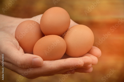 Fresh organic eggs in male hand