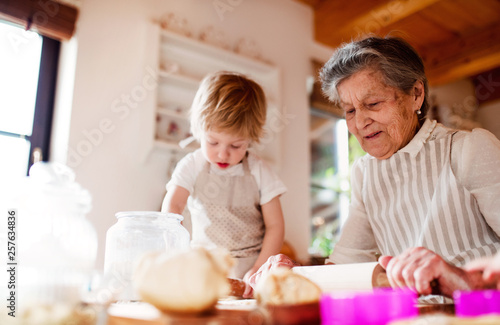 Senior grandmother with small toddler boy making cakes at home.