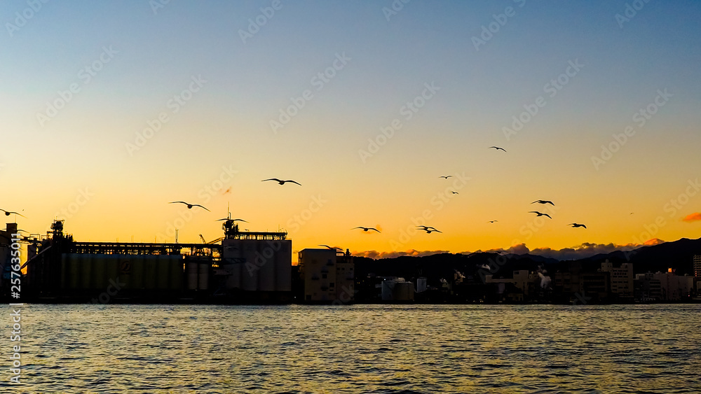 Blur of Seagull fly background on Dream Ferry Mini Cruise traveling from Hamanako Lake, Shizuoka, Japan with sunset sky. Abstract of freedom and independence.