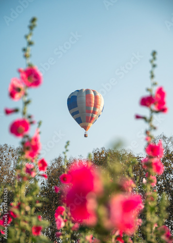 Colorful hot air balloons flying on garden