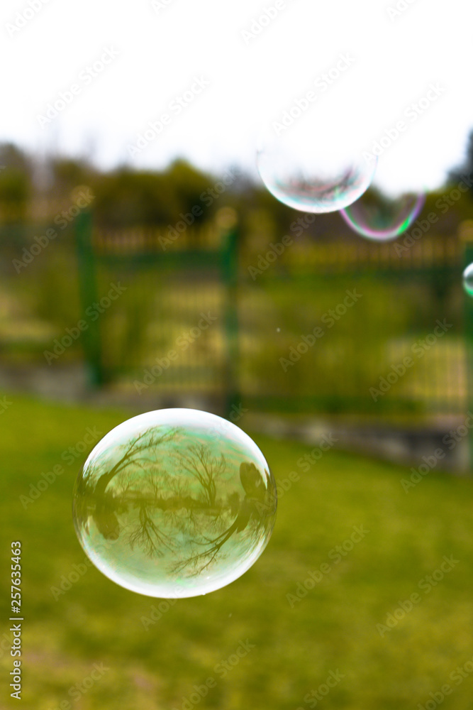 Colorful sopa bubbles Colorful sopa bubbles