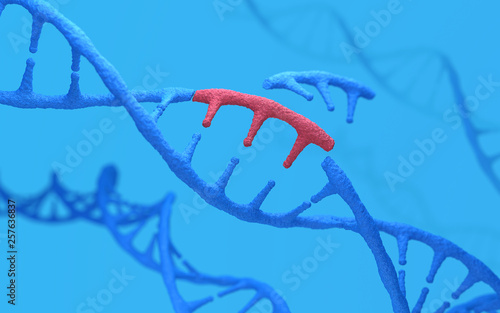 Fotografie Genetic engineering and gene manipulation concept, 3d rendering,conceptual image