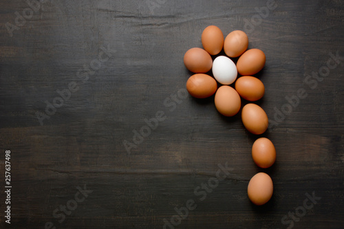 Daisy flower shaped with eggs on black background